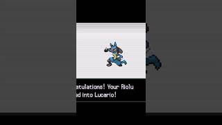 What Riolu is evolvingshorts shortpokemon [upl. by Lewak]