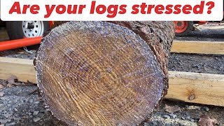 How to mill logs with tension [upl. by Ule]