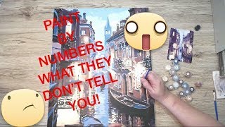 WHAT THEY DON’T TELL YOU  Paint By Numbers Review [upl. by Akaenahs]