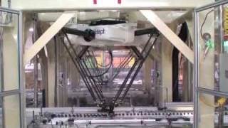 High Speed OMRON Adept Quattro Robots Used in Chocolate Manufacturing [upl. by Ynad]