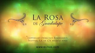 La Rosa de Guadalupe  Ilusiones rotas Parte 12 2010 [upl. by Airpal]