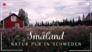 quotNatur pur in Småland  Familienurlaub in Schwedenquot  ReNatour [upl. by Merv]