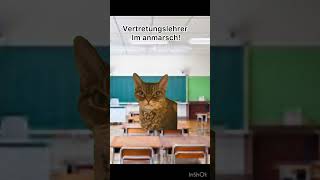 Vertretungslehrer cat tiktok funny lustig memes shorts pov fyp funnymemes [upl. by Nahtan]