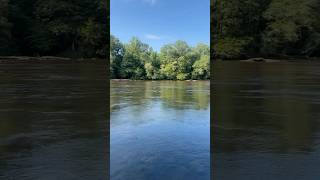 The Chattanooga River Looks absolutely Gorgeous today 😍  shorts explore travel calm [upl. by Yhtorod]