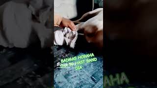 Badmas ho rahatha to bandha dia music phonk halloween beats typebeat dog doglover live [upl. by Kuehnel656]