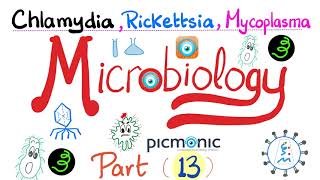 Microbiology  Picmonic  Chlamydia Rickettsia and Mycoplasma Atypical bacteria  Part 13 [upl. by Ynnav201]