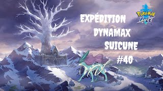 EXPEDITION DYNAMAX SUICUNE FR 40 [upl. by Anelah]