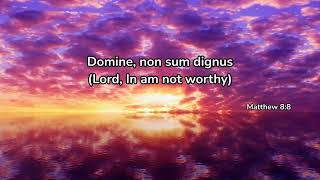 Lord I am not worthy Domine non sum dignus  Catholic prayer  meditative and calming [upl. by Ennovaj873]