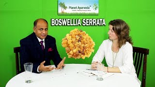 Boswellia Serrata  A Potent Pain Relieving amp Antiinflammatory Herb [upl. by Ellednahc]