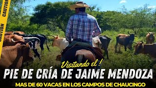 CONOCIENDO EL PIE DE CRIA DE JAIME MENDOZA DE RANCHO EL TECORRAL ¡SUBIMOS EN CABALLO AL POTRERO [upl. by Nivel]