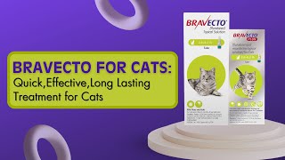 Bravecto for Cats Quick Effective Long Lasting Treatment for Cats [upl. by Elleirbag]