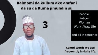 kalmomi da kullum ake amfani da su da Kuma jimulolin su 03 Kanuri words we use frequently in daily [upl. by Eceertal]