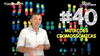 Mutações cromossômicas numéricas  Euploidias e Aneuploidias 2019  PAULO HENRIQUE [upl. by Mackenzie]