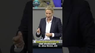 Alice Weidel Freiheit oder Ökosozialismus Die Wahrheit [upl. by Simons]