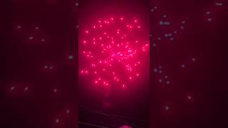 Pink out vinitha fireworks fireworks sivakasicrackerspricelist top quality balaji fireworks [upl. by Peria]