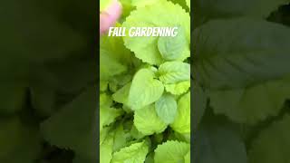 Fall Gard gardening fallgarden [upl. by Rodrigo958]