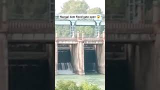 Nangal dam flood gate open nangaldam bhakradam nangal shorts viralvideo youtubeshorts india [upl. by Holli]