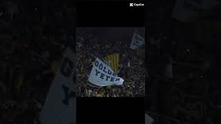 Linç yiycem keşfetaçıl cneᴅɪᴛᴢ fypシ゚viralfenerbahçefenerbahçesondakika [upl. by Aihgn]