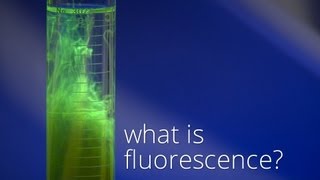 What is Fluorescence [upl. by Ennire127]