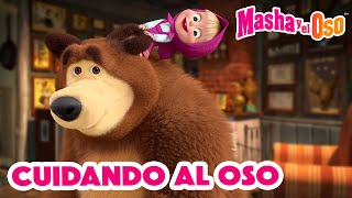 Masha y el Oso 2024 🐻👱‍♀️ Cuidando al Oso 🐾👣 1 hora 🤗 Dibujos animados 🎬 Masha and the Bear [upl. by Ratep]