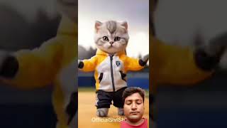 catlover comedy cat ytviral yt catvideos youtubeshorts ytshort kucinglucu funny [upl. by Neeluj]