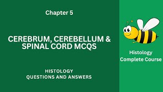 Cerebrum Cerebellum amp Spinal Cord MCQ Questions Answers  Spinal Cord Class 912 MCQs Ch 5 Notes PDF [upl. by Manley77]