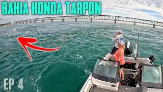 The BEST Tarpon Fishing In The World On Artificial Lures  Florida Keys [upl. by Friederike723]