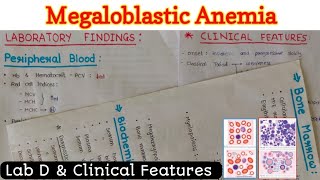 Megaloblastic Anemia 22  Lab D amp Clinical Features [upl. by Hasty]