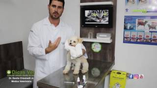 Clinica Animals  Dicas Vet 6  Como dar remédio líquido por via oral [upl. by Quintus433]