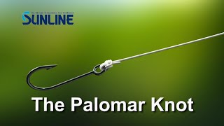 Fishing KnotsPalomar Knot【SUNLINE KNOT SCHOOL】 [upl. by Gable]