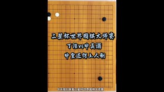 申皇还得上人制，三星杯世界围棋大师赛，丁浩vs申真谞 围棋 丁浩 申真谞 雪梨下围棋 三星杯世界围棋大师赛 [upl. by Raasch305]