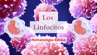 Los Linfocitos  Hematologia Basica [upl. by Knobloch87]