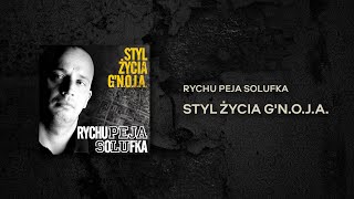 RPS feat Biguś  Gruba Impra z Rysiem [upl. by Swerdna825]