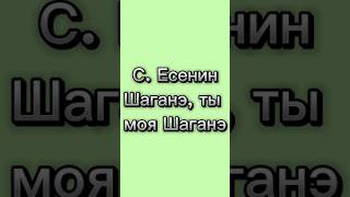 Есенин Стихи о любви Шаганэ ты моя Шаганэ shorts стихи есенин [upl. by Lugar]