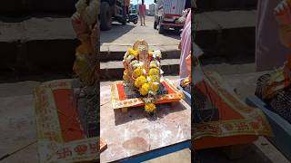 Ganpati Bappa Morya  Pimpri Chinchwad Pune shorts yt ytshort ytshortsindia [upl. by Maclay]