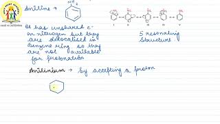 23  ARYLAMINE VERSUS AMMONIA [upl. by Hplodur746]