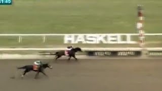 Dornoch Does It Again With Repeat Performance In Haskell Stakes 2024 [upl. by Coffee671]