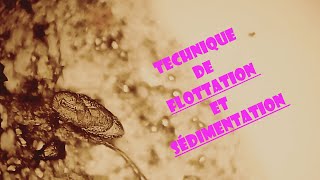 technique de flottation et technique de sédimentation [upl. by Mehs]