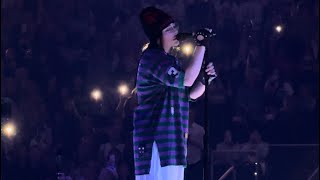 Billie Eilish  WILDFLOWER Toronto N2 2024 [upl. by Hebel]