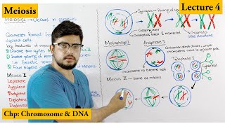 trick to remember biology class 11th  neet biology prophase 1 stages  meiosis 1 [upl. by Yttiy]