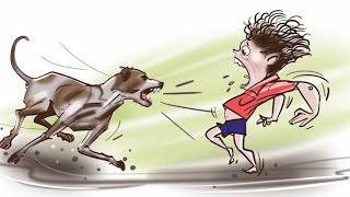 Human vs dog bikevsdog streetdogattack rkvlogs [upl. by Mcgregor]