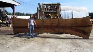 Sawing wide slabs from a 20000 lb log [upl. by Ynaiffit549]