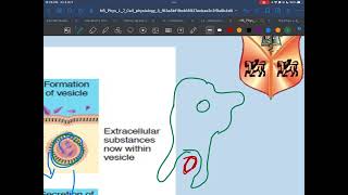 Ns  phy Lec 7 p 4 endo exo  phago Cytosis [upl. by Ldnek]