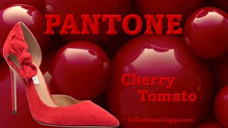 ♦PANTONE Fashion Color Cherry Tomato [upl. by Onavlis375]