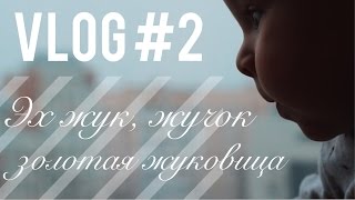 Vlog 2 Золотая жуковица репетиция и в рот мне ноги [upl. by Sielen]