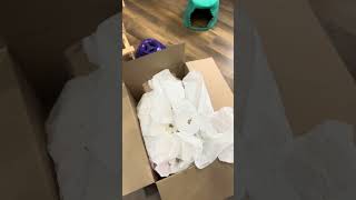 Chunky Bunny Enrichment Activity petshorts bunny rabbit petbunny petrabbit pet [upl. by Nodyarg]