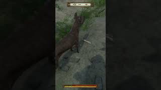 The devil dog emerges kingdomcomedeliverance kcd warhorse deepsilver ps4 gamingshorts gaming [upl. by Leumek]