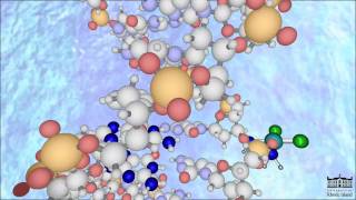 The Mechanism of Cisplatin New HD [upl. by Shuman269]