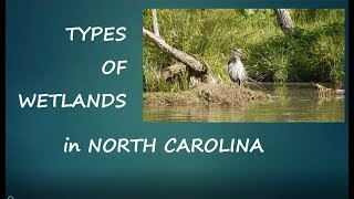 General wetland types in North Carolina ncwetlandsorg [upl. by Castillo]