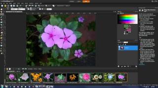 Saturation Adjustment in PaintShop Pro X4 [upl. by Akehsay]